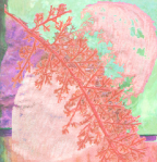 Red Forest